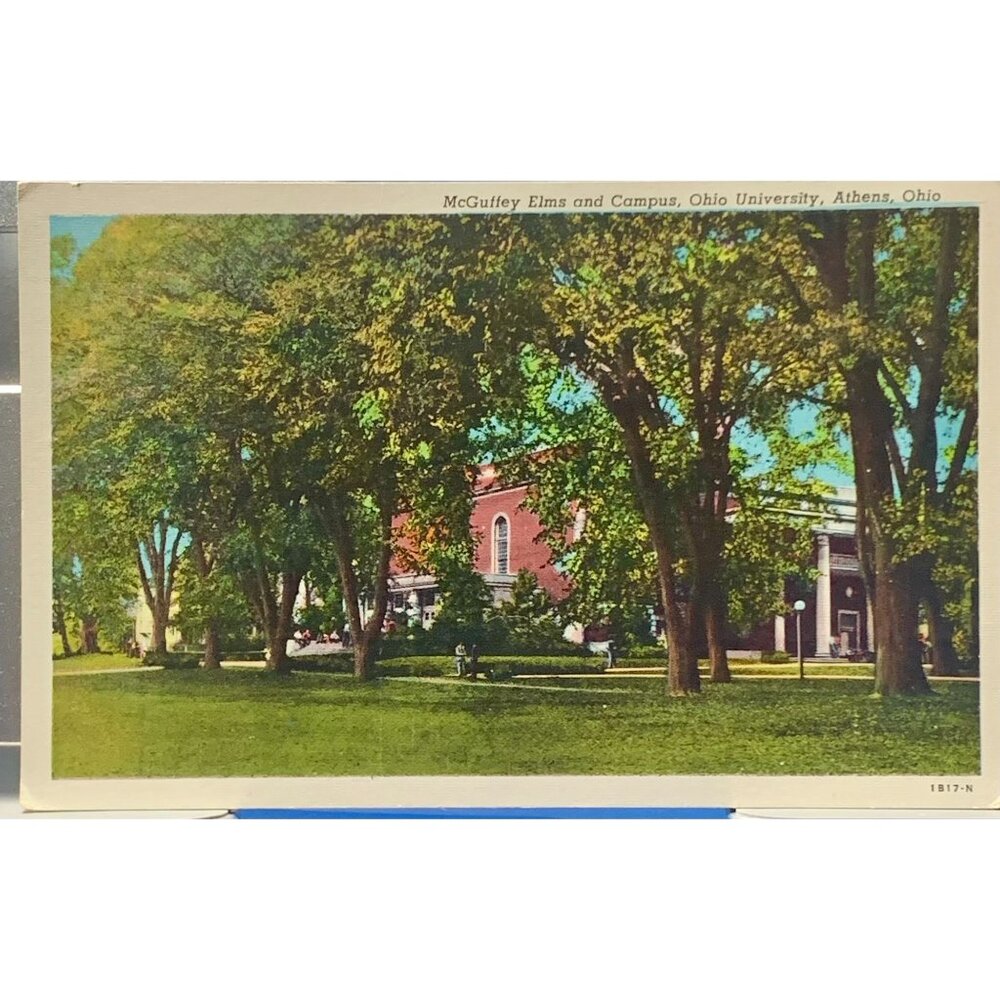 Vintage Postcard McGuffey Elms & Campus Ohio University Athens Ohio Genuine